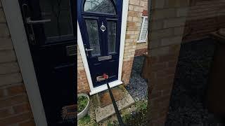 Water Fed Pole: The Ultimate Window Cleaning Tool (2024)