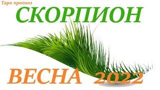 СКОРПИОН  ВЕСНА2022  таро прогноз/гороскоп на МАРТ АПРЕЛЬ МАЙ  Любовь, Карьера, Финансы 