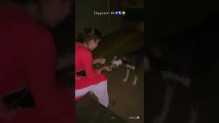 DOG LOVES 🫶|| PAYAL SHINDE || #youtube #instagram #love #subscribe #yshorts #like