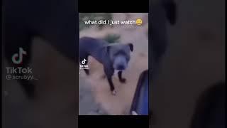 There it goo.                                    #memes #tiktok #shorts #funny #viral #vines #laugh