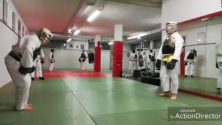 Nippon kempo il dojo