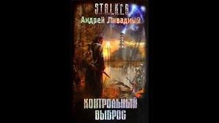 S.T.A.L.K.E.R. Контрольный выброс #аудиокнига #сталкер