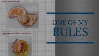 One of my Rules  | Gerald L. Ford, CMC | Legit Concepts