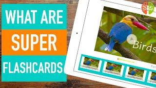 What are SUPER Heguru Flashcards? - Right Brain Training / High Speed Flash Cards / Early Education