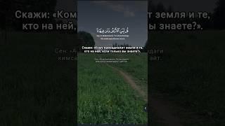 Сура Ал-Муъминун 84-87 #muslim#quran #foryou #funny#islam