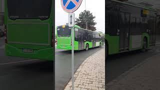 Autobuzul Mercedes-Benz Citaro Hybrid C2 E6 #7080 pe linia 205 (autobaza nordului)