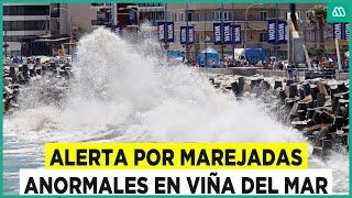 Videos muestran anormales marejadas en Viña del Mar: ¿En qué sectores tendrán mayor intensidad?