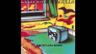 A Flock of seagulls -  I Ran (Sergio Luna Remix)