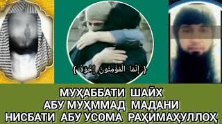 мухабати Шайх Абу Мухаммад Мадани нисбати Абу усома рахимахулох