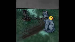 Очень ленивое видео, спустя долгое время))) #catwar #кэтвар #кетвар #кв #тени