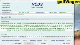 MIB2 activation Carplay, Performance monitor VCDS Fec/Swap activation