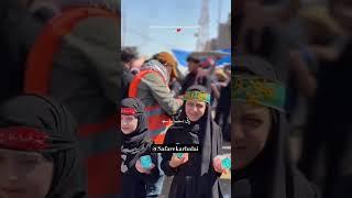 Labbaik ya mola hussain a.s #ishq #iraq #dream #karbala #ashura #arbeen
