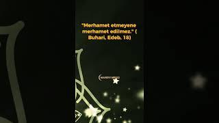 Peygamber Efendimiz'den Öğütler - Hadis-i Şerifler - Manevi Miras #dinivideolar #dinihikayeler