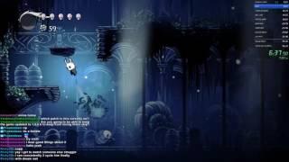 Hollow Knight any% 48:06