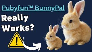 Pubyfun Bunny Pal Review - Worth It Or A Scam? Scam Expert