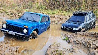 Soviet NIVA TOP off-road? ... Land Cruiser decided to show who is king here! RC OFFroad 4x4