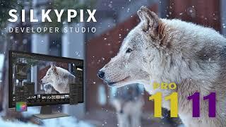 "SILKYPIX Developer Studio Pro11" promotion movie