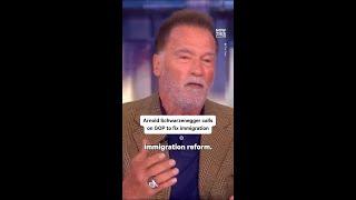 Schwarzenegger Slams GOP on Immigration