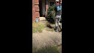 this needs to be in the before and after hall of fame #pressurewashing #powerwashing #satisfying
