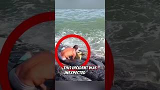 This kind man rescued a helpless turtle and helped it return to nature #rescue #turtle