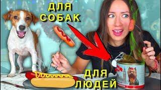 Собачья Еда ПРОТИВ Настоящей Челлендж ч 2 Не Обычная Еда | Elli Di Pets