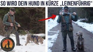 5 Tipps wie dein Hund in Kürze „leinenführig“ wird und trotzdem ausgelastet ist | Hundeschule U.B.