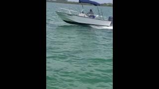 Boston waler doing work on the water!!