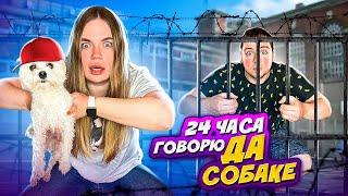 24 ЧАСА ГОВОРЮ ДА СОБАКЕ БИЛЛИ БОЮ | ЩЕНОК УПРАВЛЯЕТ МОИМ ДНЁМ