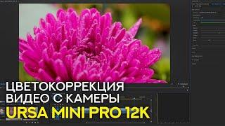 Цветокоррекция в Premier Pro видео, снятых на URSA Mini Pro 12K - Уроки видеомонтажа