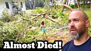 Huge Oak Tree Tried To Kill My Family and Chickens #chicken #homestead #family #diy #vlog #garden