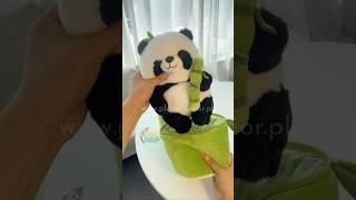 Snuggle up with the Bamboo Panda Plush! Planetjunior.pk #mrpj #planetjunior #pakistantoys