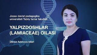 Tabiiy fanlar fakulteti Dilnoz Azimova.Mavzu: Yalpizdoshlar (lamiaceae) oilasi