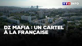 DZ Mafia : enquête sur un cartel à la française