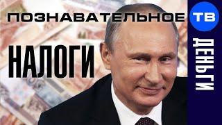 Почему Путин повысил налоги в коронавирус? (Познавательное ТВ, Артём Войтенков)