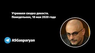 Утренняя сводка дикости. Понедельник, 18 мая 2020 года