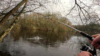 La pêche du brochet, depuis le bord (leurres, flotteur, appât naturel)