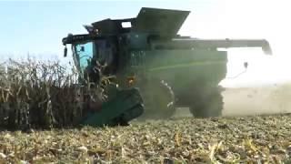 Organic corn harvest 2017