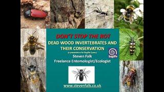 Don't Stop The Rot - Dead wood invertebrates and their conservation