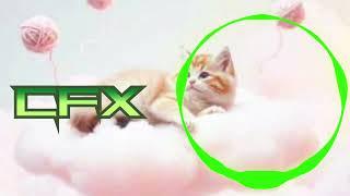 Chin Flow CFX - Kitty ( Feat Chinzuki ) Copyright Free Music | NCS NCM