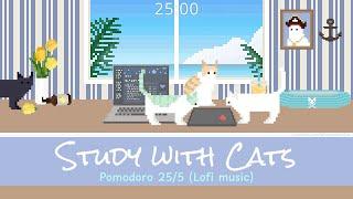 Study with Cats  Pomodoro Timer 25/5 | Summer Study Sessions at the Beach House | Chill lofi music