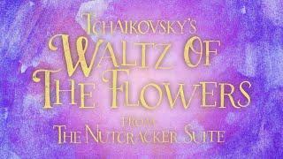 Tchaikovsky: Waltz Of The Flowers - from The Nutcracker Suite (Visualization)