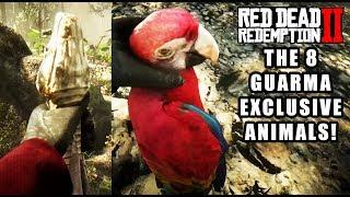 Red Dead Redemption 2 - 8 Guarma Exclusive Animals Location Guide! RDR2