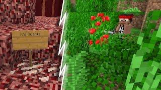 Minecraft Hermitcraft :: Don't Poke the Tiger! e5