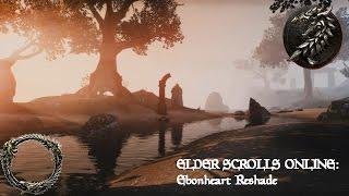 Elder Scrolls Online: Ebonheart Reshade