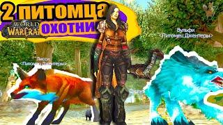 How can a Hunter make two Pets? World of Warcraft