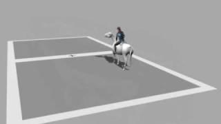 Horse Motion Capture - trot