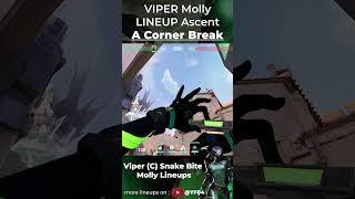 Ready to Dominate? Learn Viper's Ascent Molly Lineup! |  #valorantlineups #valorantlineups