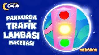 Parkurda Trafik Lambası Macerası - Mercanya