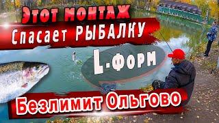 Безлимит Ольгово | Ловля Форели | Форель на Донку