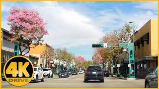 Driving Tour of Harbor Blvd (Anaheim to Fullerton) [4K]